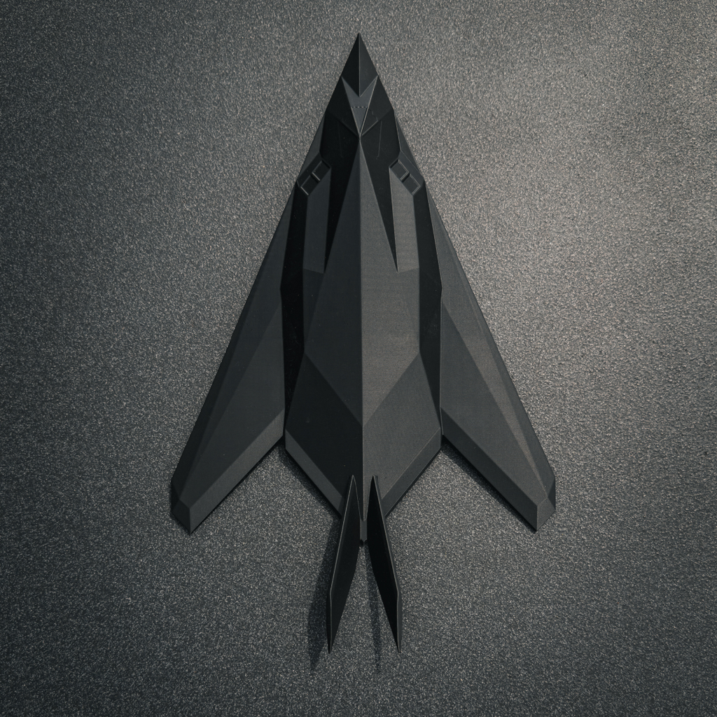 Lockheed Martin: F-117 Nighthawk - Relict